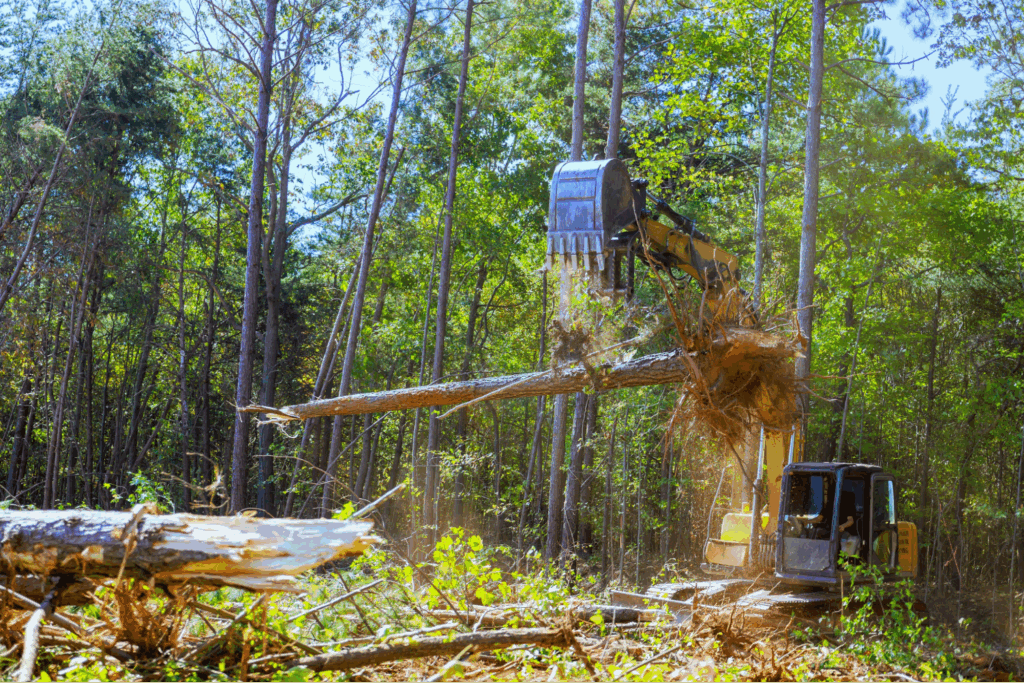A machine uprooting and removing a tree.