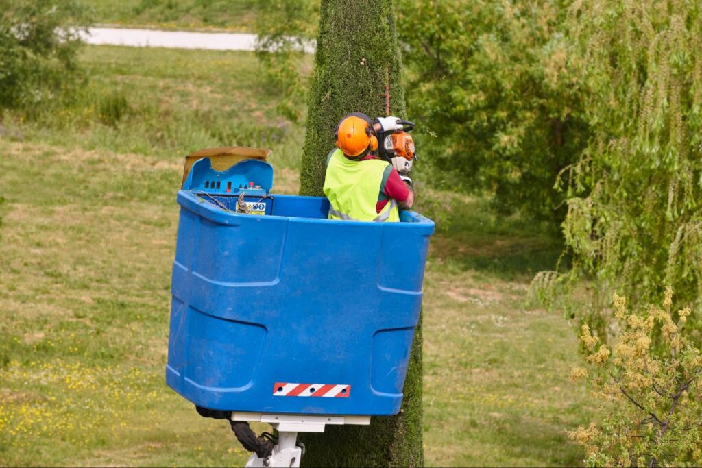 A tree care service worker in safety gear trims a tree using a chainsaw.