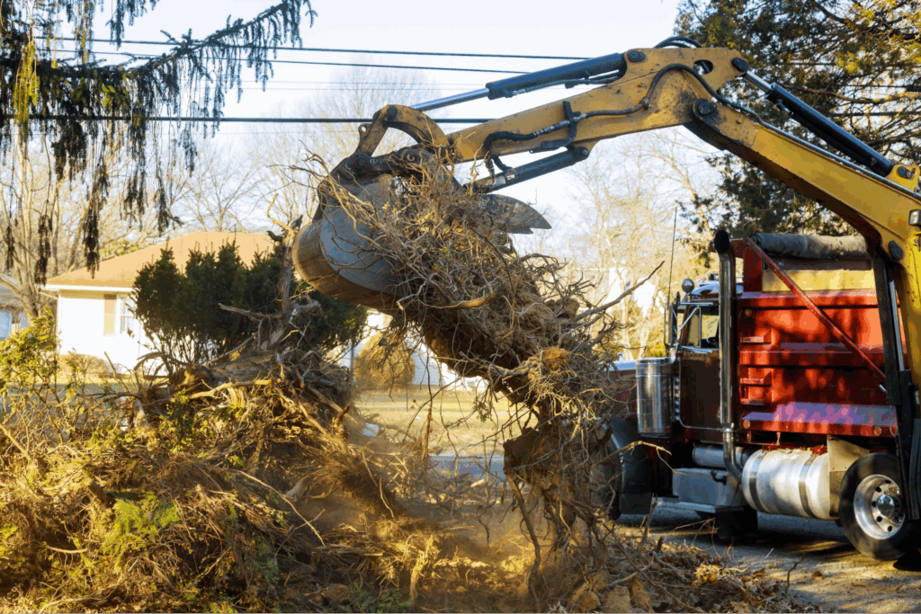 An excavator removing a tree.