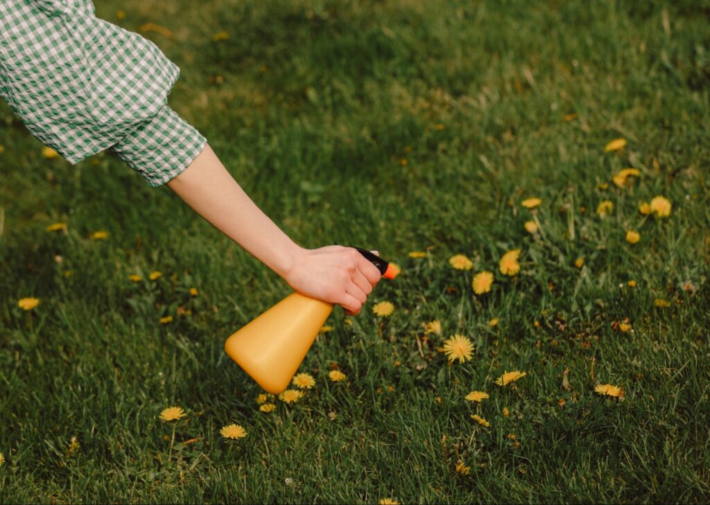 A woman sprays weed control for lawns over grass to prevent weed growth.