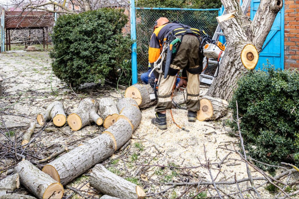 A tree removal service worker cuts the tree trunk into pieces.