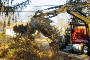 An excavator removing a tree.